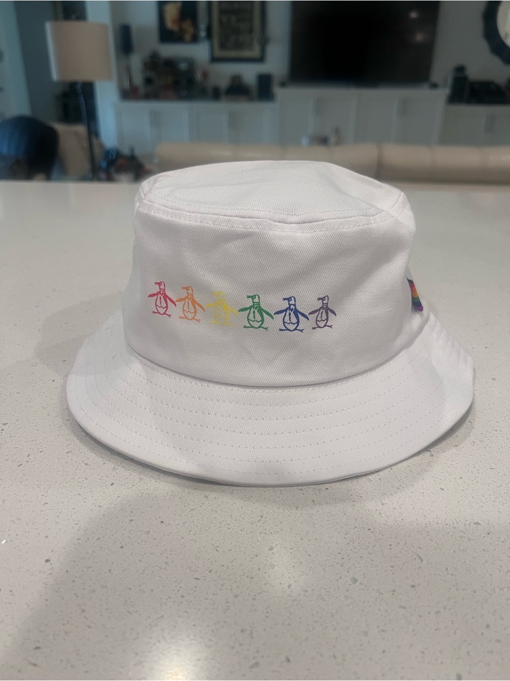 PRIDE Penguin bucket hat